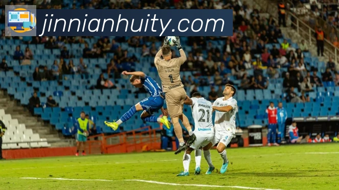 金年会发展历程